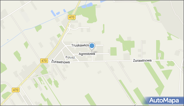 Cisew, Borówkowa, mapa Cisew