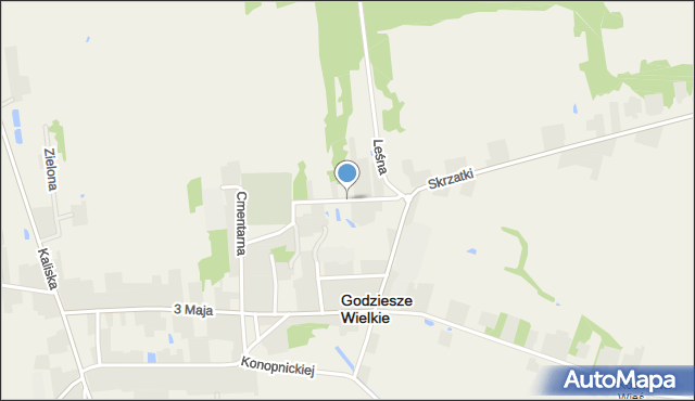 Godziesze Wielkie, Borkowska, mapa Godziesze Wielkie