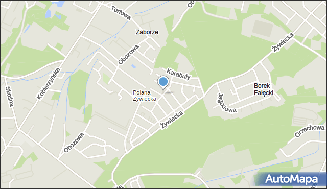 Kraków, Borkowskie Błonia, mapa Krakowa