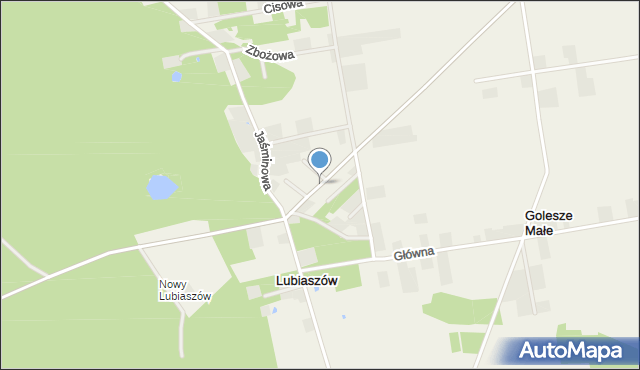 Lubiaszów, Borówkowa, mapa Lubiaszów