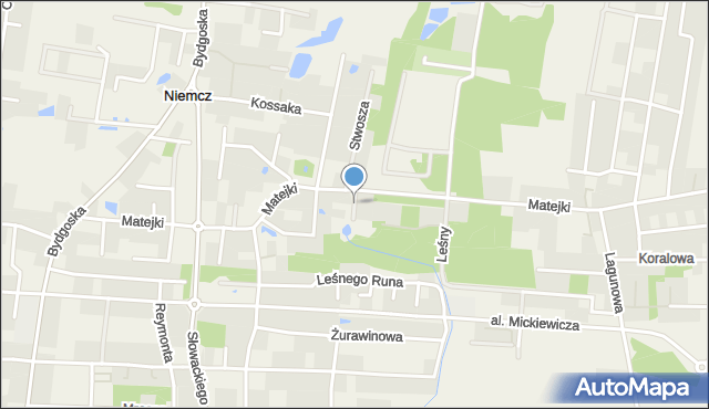 Niemcz, Borowikowa, mapa Niemcz