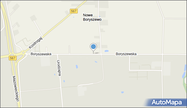 Płock, Boryszewska, mapa Płock