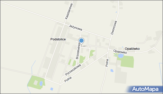 Podstolice gmina Nekla, Borówkowa, mapa Podstolice gmina Nekla