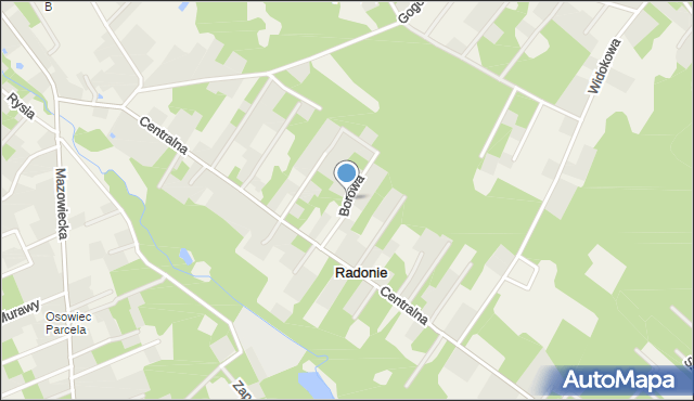 Radonie, Borowa, mapa Radonie