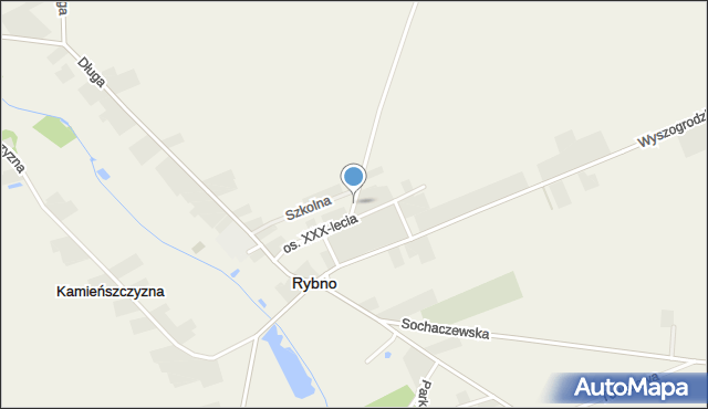 Rybno powiat sochaczewski, Borowa, mapa Rybno powiat sochaczewski