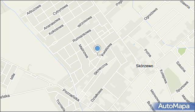 Skórzewo gmina Dopiewo, Borówkowa, mapa Skórzewo gmina Dopiewo