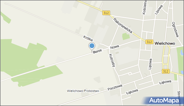 Wielichowo-Wieś, Borek, mapa Wielichowo-Wieś