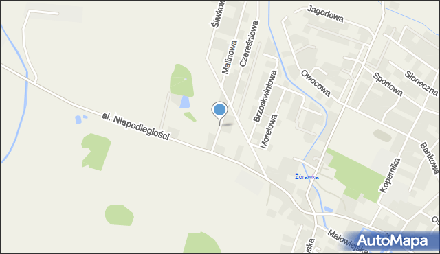 Żórawina, Borówkowa, mapa Żórawina