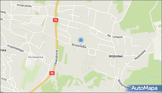 Bochnia, Brzeźnicka, mapa Bochni