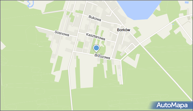 Borków gmina Daleszyce, Brzozowa, mapa Borków gmina Daleszyce