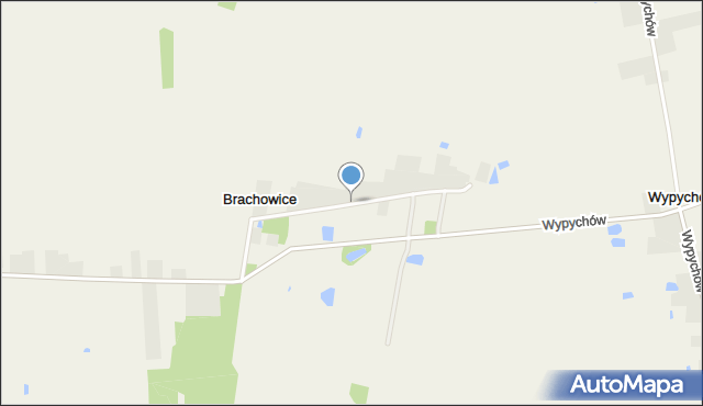 Brachowice, Brachowice, mapa Brachowice