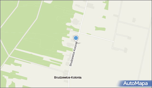 Brudzewice-Kolonia, Brudzewice-Kolonia, mapa Brudzewice-Kolonia