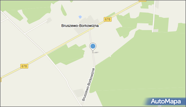 Bruszewo-Borkowizna, Bruszewo-Borkowizna, mapa Bruszewo-Borkowizna
