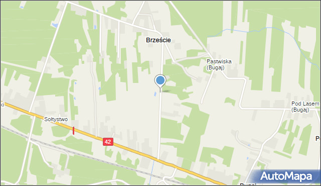 Brzeście gmina Bliżyn, Brzeście, mapa Brzeście gmina Bliżyn