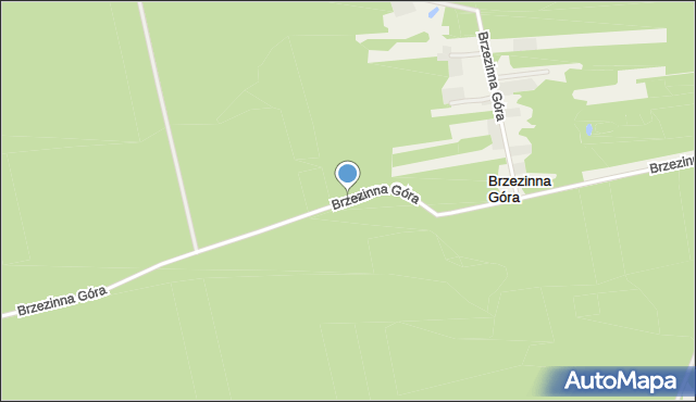 Brzezinna Góra, Brzezinna Góra, mapa Brzezinna Góra