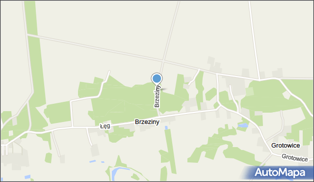 Brzeziny gmina Rzeczyca, Brzeziny, mapa Brzeziny gmina Rzeczyca