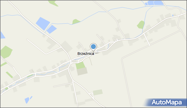 Brzeźnica gmina Bardo, Brzeźnica, mapa Brzeźnica gmina Bardo