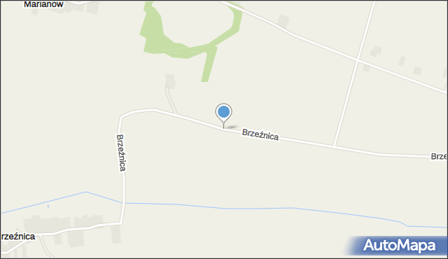 Brzeźnica gmina Burzenin, Brzeźnica, mapa Brzeźnica gmina Burzenin