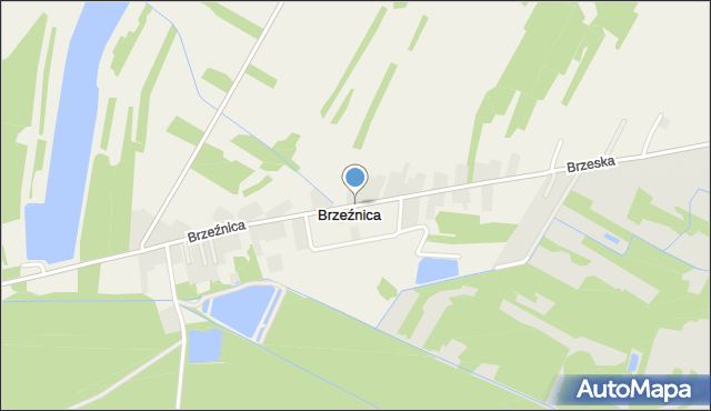 Brzeźnica gmina Radłów, Brzeźnica, mapa Brzeźnica gmina Radłów