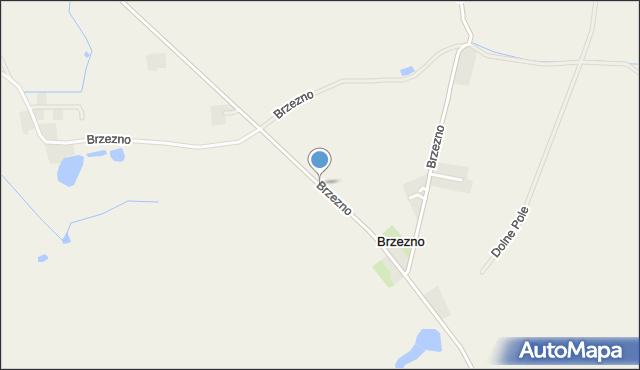 Brzezno, Brzezno, mapa Brzezno