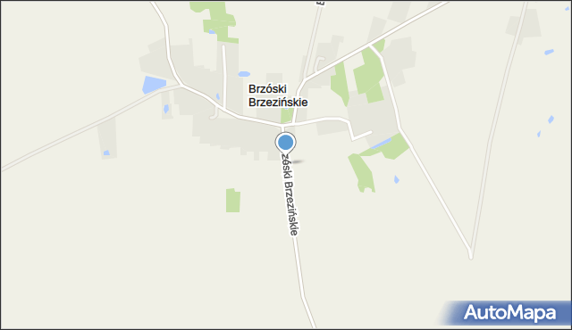 Brzóski Brzezińskie, Brzóski Brzezińskie, mapa Brzóski Brzezińskie