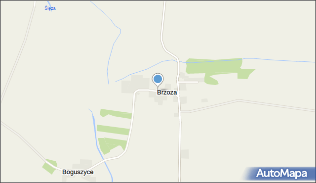 Brzoza gmina Borów, Brzoza, mapa Brzoza gmina Borów