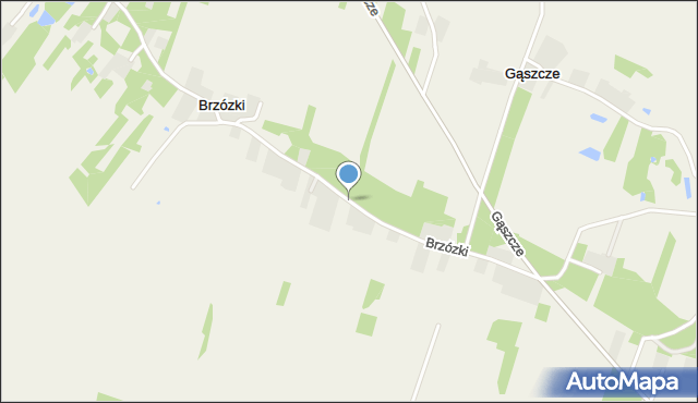 Brzózki gmina Galewice, Brzózki, mapa Brzózki gmina Galewice