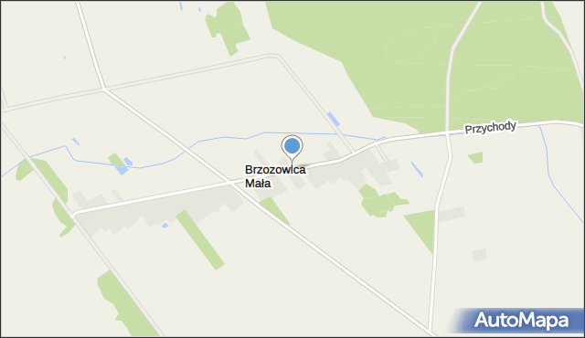 Brzozowica Mała, Brzozowica Mała, mapa Brzozowica Mała