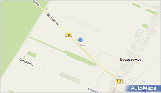 Budziszewice powiat tomaszowski, Brzezińska, mapa Budziszewice powiat tomaszowski