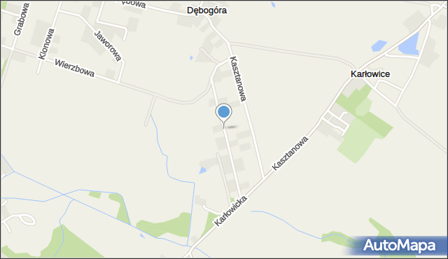 Dębogóra gmina Czerwonak, Brzozowa, mapa Dębogóra gmina Czerwonak