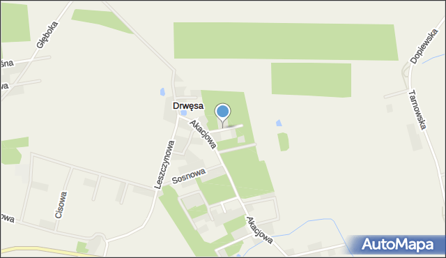 Drwęsa, Brzozowa, mapa Drwęsa