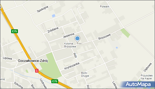 Goczałkowice-Zdrój, Brzozowa, mapa Goczałkowice-Zdrój