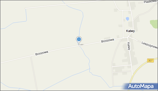 Kalwy, Brzozowa, mapa Kalwy