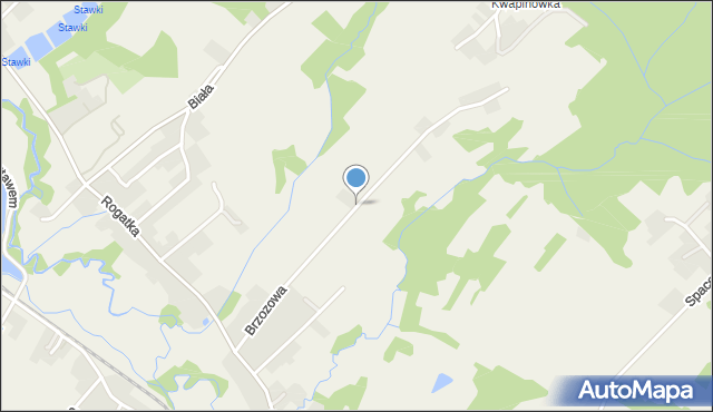 Klecza Dolna, Brzozowa, mapa Klecza Dolna