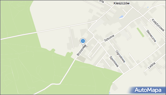 Kleszczów gmina Rudziniec, Brzozowa, mapa Kleszczów gmina Rudziniec