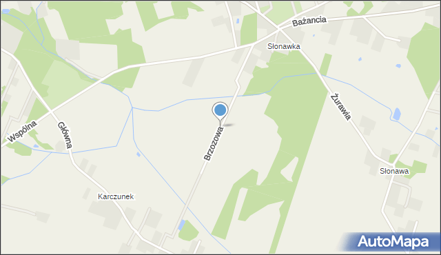 Kolonia Gościeńczyce, Brzozowa, mapa Kolonia Gościeńczyce