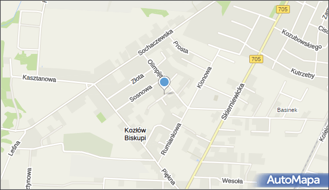 Kozłów Biskupi, Brzozowa, mapa Kozłów Biskupi