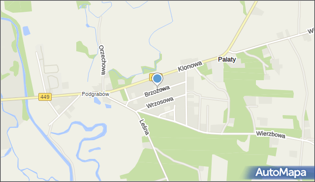 Palaty, Brzozowa, mapa Palaty