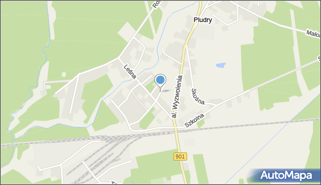 Pludry, Brzozowa, mapa Pludry