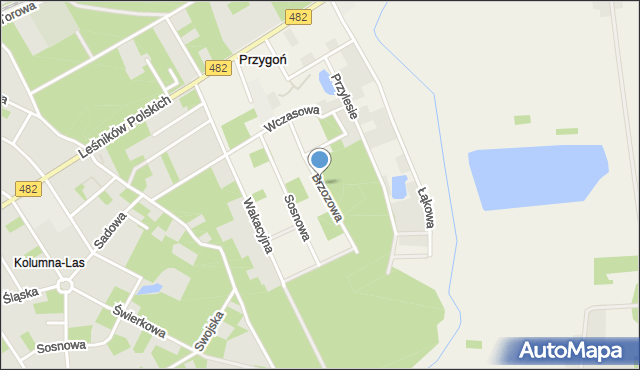 Przygoń, Brzozowa, mapa Przygoń