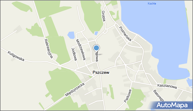 Pszczew, Brzegowa, mapa Pszczew