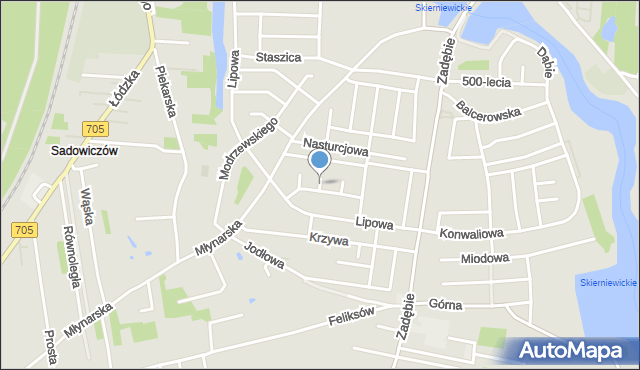 Skierniewice, Brzozowa, mapa Skierniewic