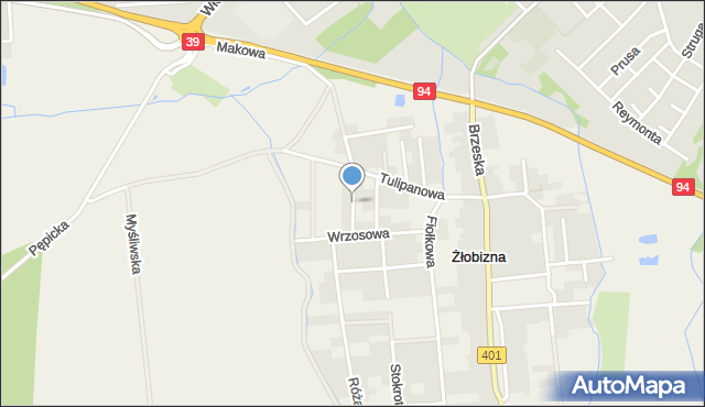 Żłobizna, Bratkowa, mapa Żłobizna