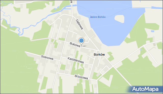 Borków gmina Daleszyce, Bukowa, mapa Borków gmina Daleszyce