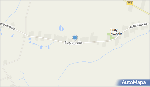 Budy Kozickie, Budy Kozickie, mapa Budy Kozickie