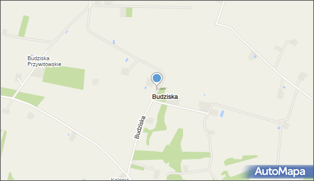 Budziska gmina Skrwilno, Budziska, mapa Budziska gmina Skrwilno