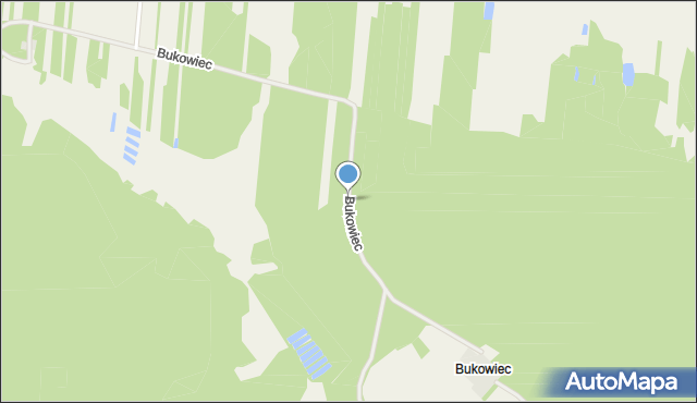 Bukowiec gmina Aleksandrów, Bukowiec, mapa Bukowiec gmina Aleksandrów