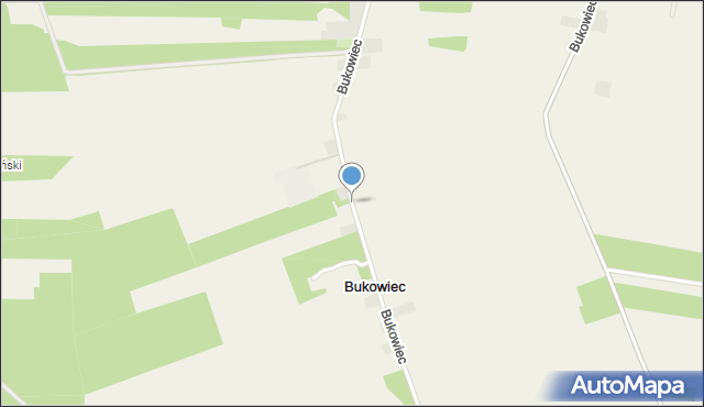 Bukowiec gmina Żelechlinek, Bukowiec, mapa Bukowiec gmina Żelechlinek