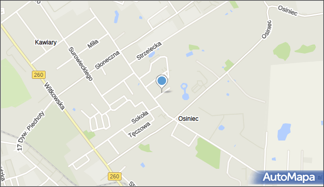 Gniezno, Bursztynowa, mapa Gniezna