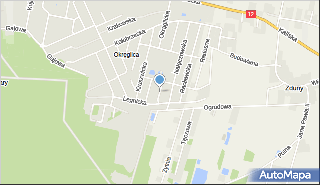 Kalisz, Budziszyńska, mapa Kalisza